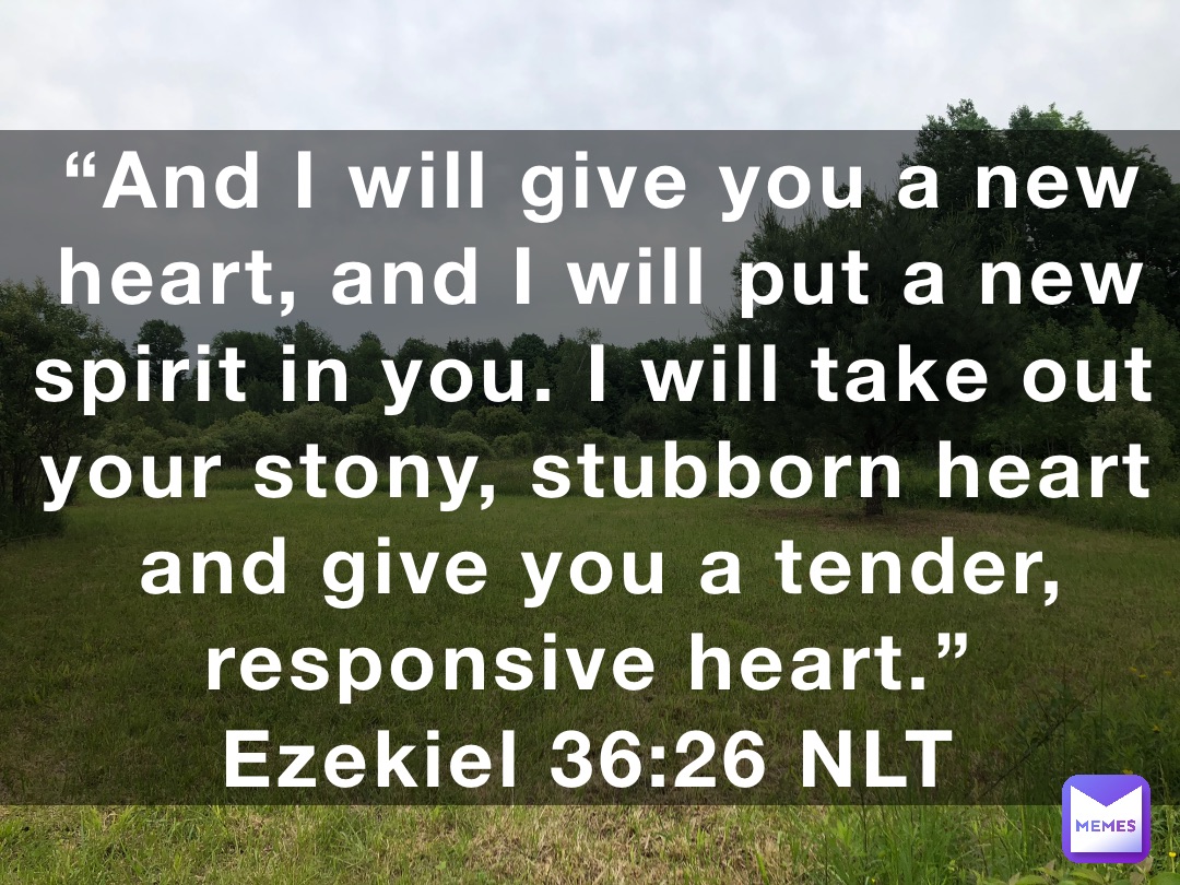 “And I will give you a new heart, and I will put a new spirit in you. I will take out your stony, stubborn heart and give you a tender, responsive heart.”
‭‭Ezekiel‬ ‭36:26‬ ‭NLT‬‬
