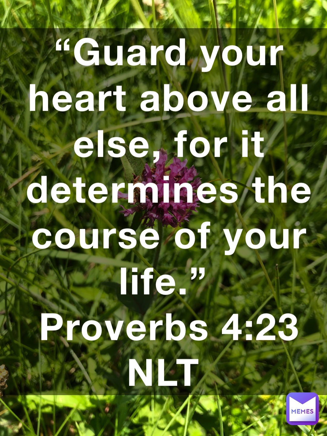 “Guard your heart above all else, for it determines the course of your life.”
‭‭Proverbs‬ ‭4:23‬ ‭NLT