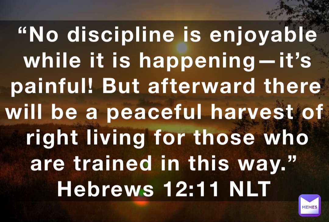 “No discipline is enjoyable while it is happening—it’s painful! But afterward there will be a peaceful harvest of right living for those who are trained in this way.”
‭‭Hebrews‬ ‭12:11‬ ‭NLT‬‬