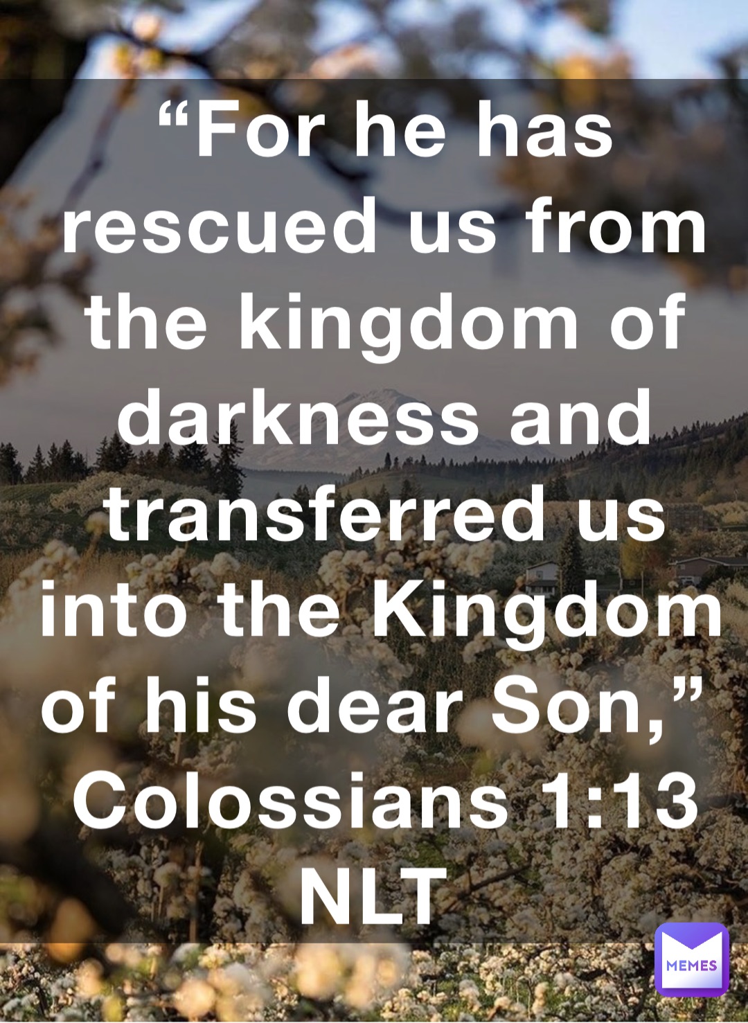 “For he has rescued us from the kingdom of darkness and transferred us into the Kingdom of his dear Son,”
‭‭Colossians‬ ‭1:13‬ ‭NLT‬‬