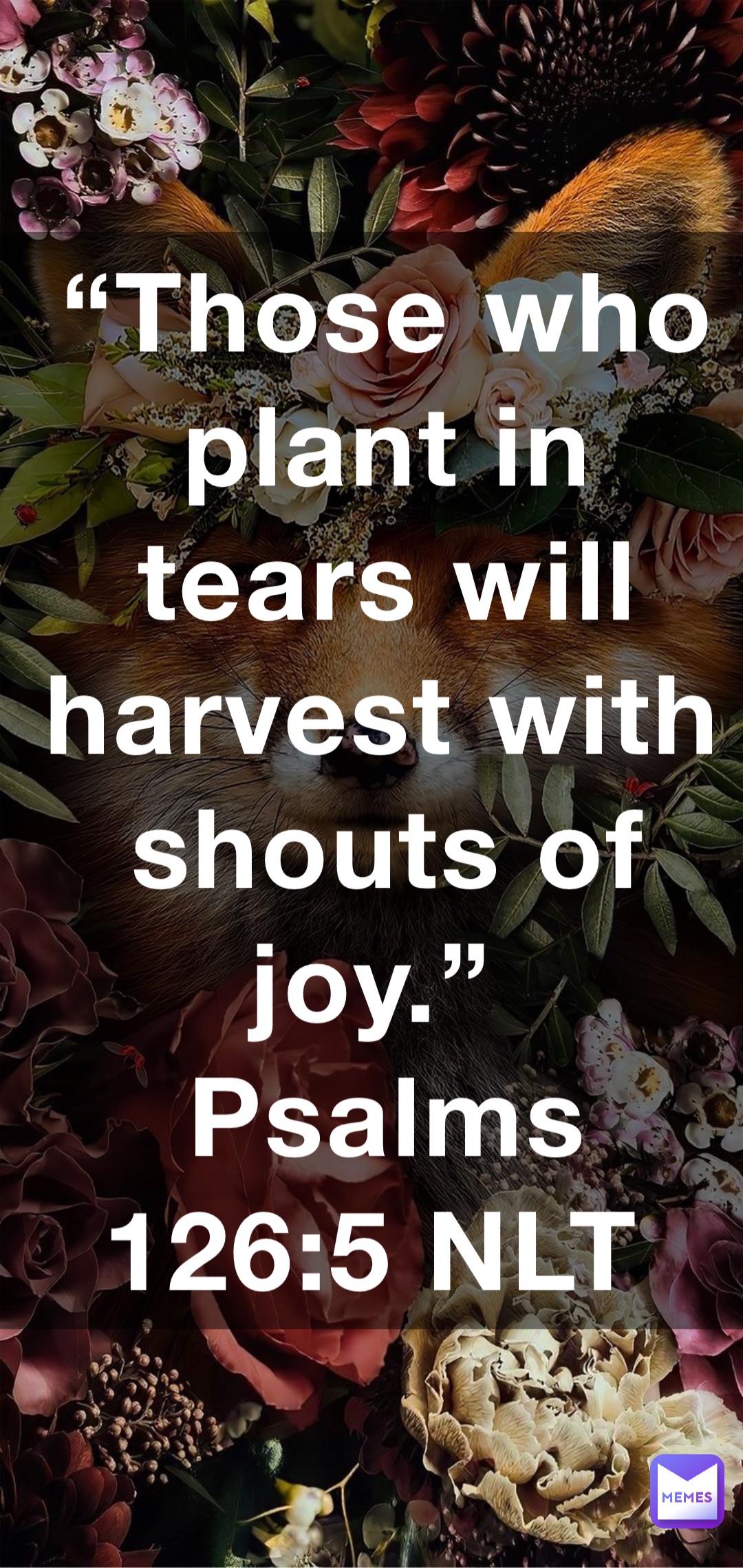 those-who-plant-in-tears-will-harvest-with-shouts-of-joy-psalms