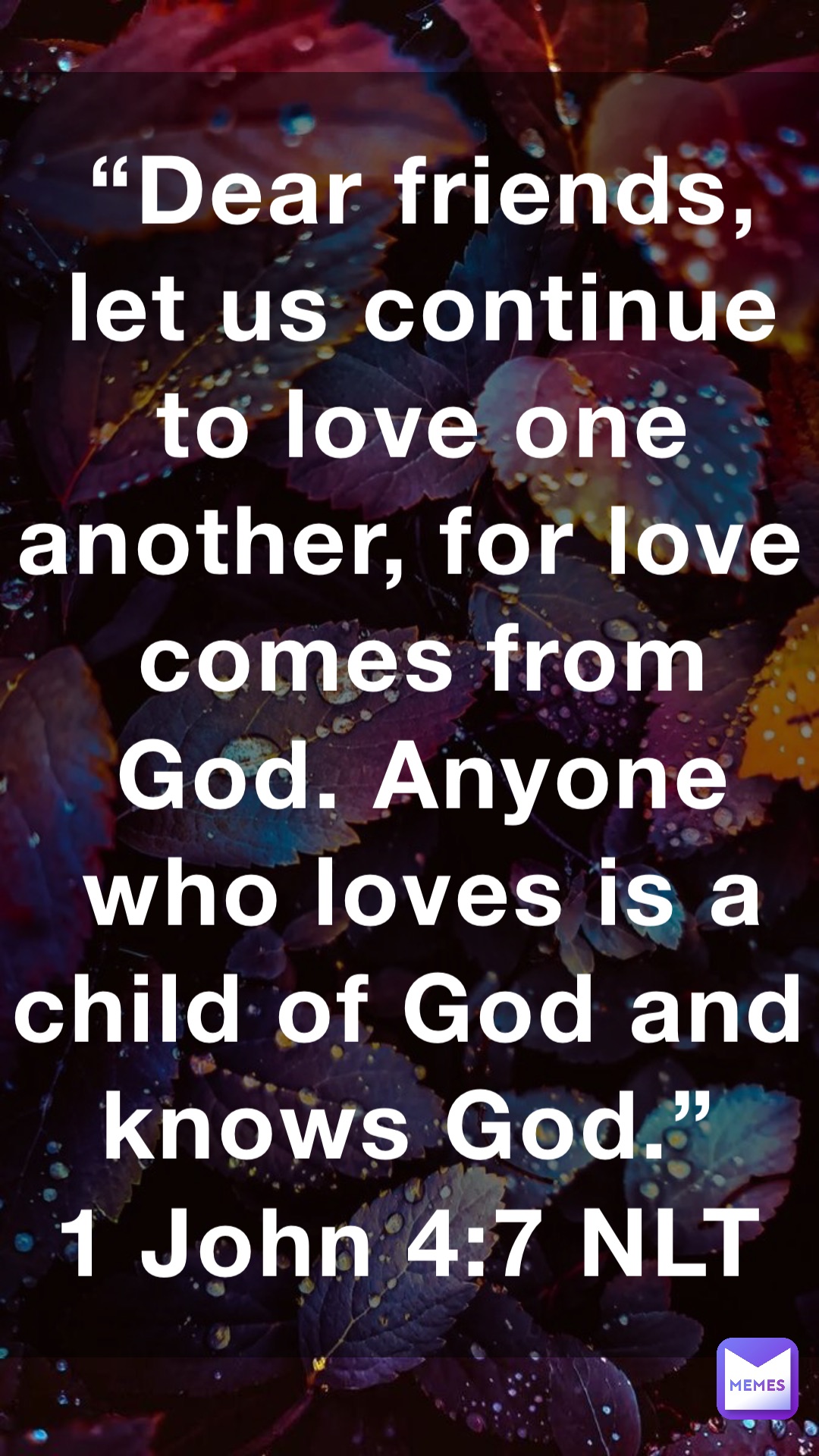 “Dear friends, let us continue to love one another, for love comes from God. Anyone who loves is a child of God and knows God.”
‭‭1 John‬ ‭4:7‬ ‭NLT
