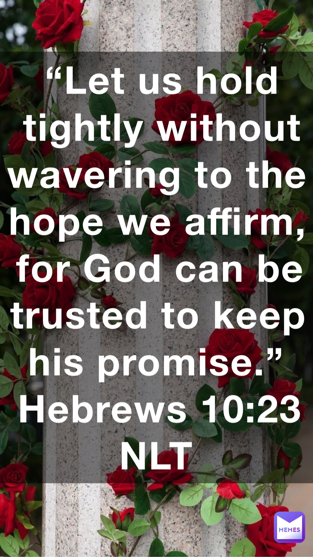 “Let us hold tightly without wavering to the hope we affirm, for God can be trusted to keep his promise.”
‭‭Hebrews‬ ‭10:23‬ ‭NLT‬‬