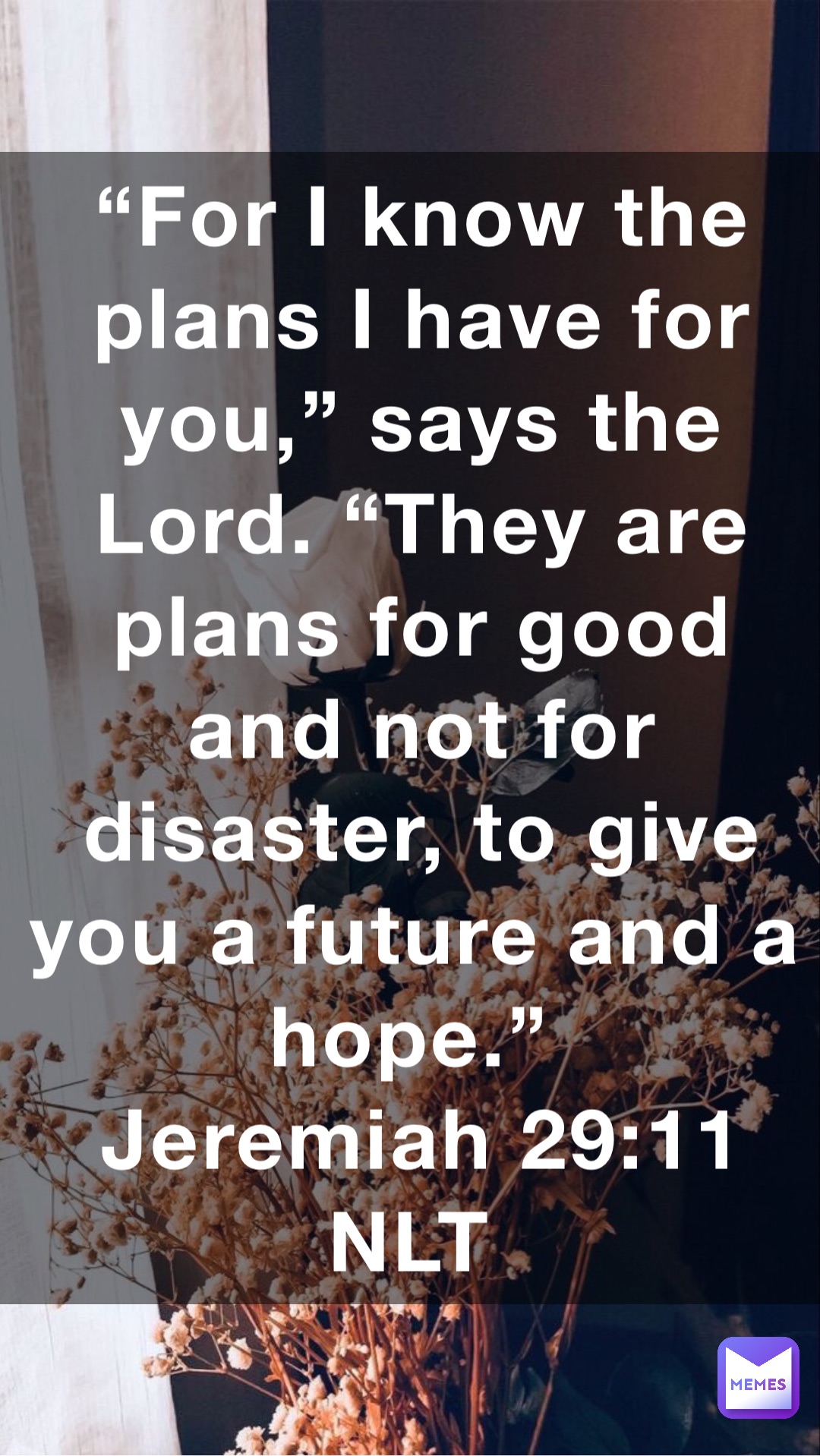 “For I know the plans I have for you,” says the Lord. “They are plans for good and not for disaster, to give you a future and a hope.”
‭‭Jeremiah‬ ‭29:11‬ ‭NLT‬‬