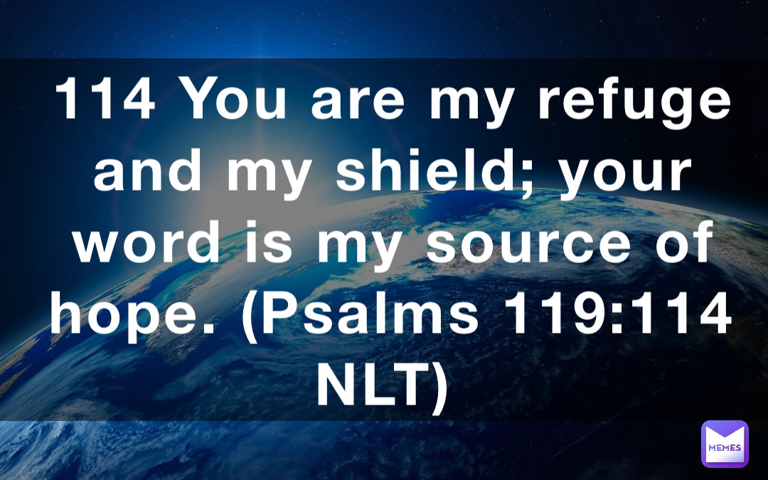 114 You are my refuge and my shield; your word is my source of hope. (‭‭‭Psalms‬ ‭119‬‬:‭114‬ ‭NLT‬‬)