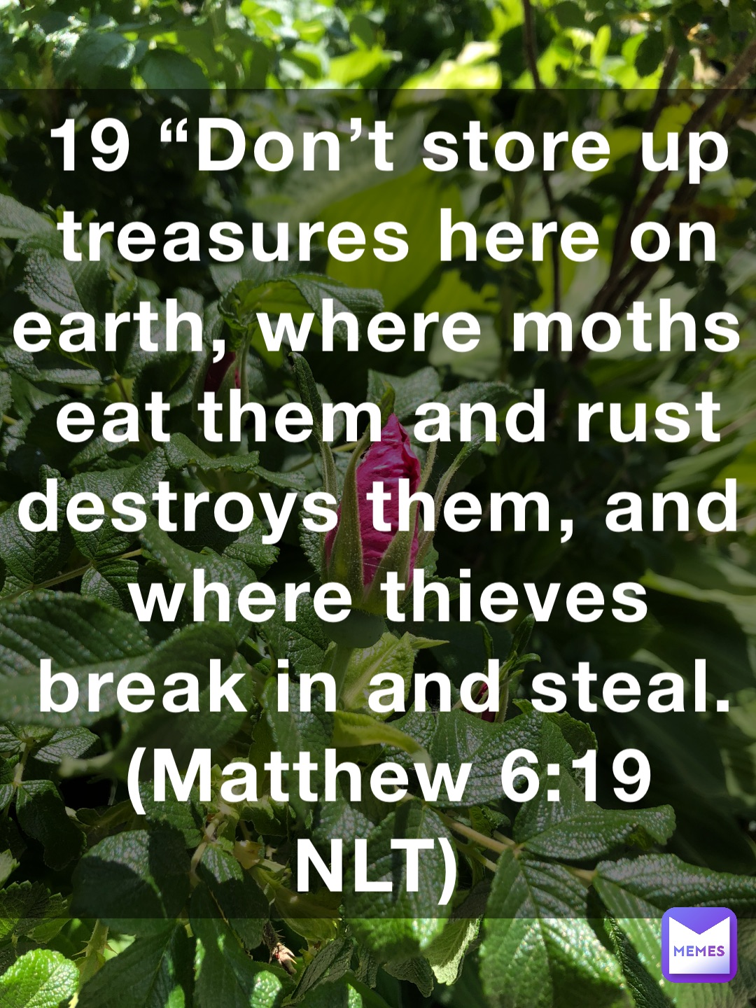 19 “Don’t store up treasures here on earth, where moths eat them and rust destroys them, and where thieves break in and steal. (‭‭‭Matthew‬ ‭6‬‬:‭19‬ ‭NLT‬‬)