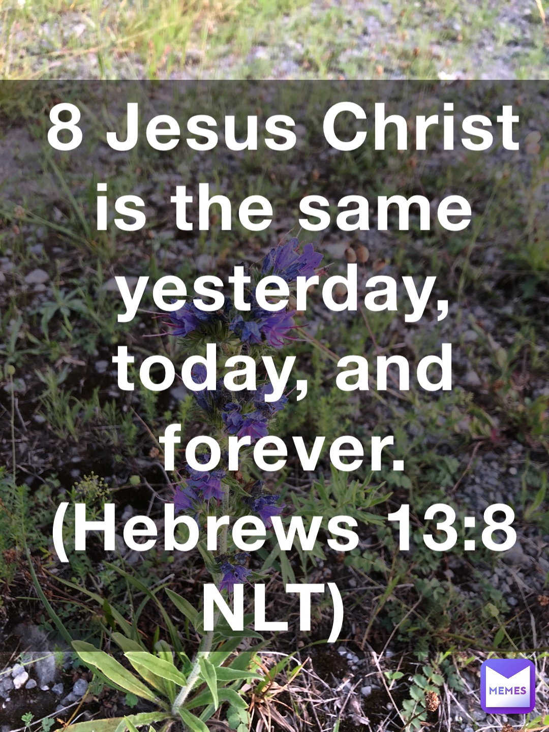 8 Jesus Christ is the same yesterday, today, and forever. (‭‭‭Hebrews‬ ‭13‬‬:‭8‬ ‭NLT‬‬)