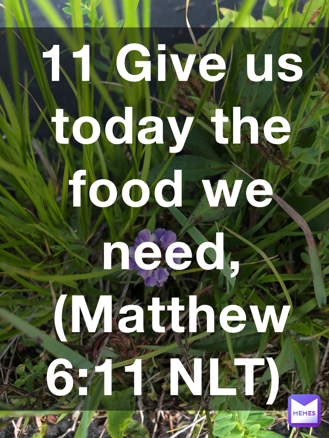 16 Confess your sins to each other and pray for each other so that you