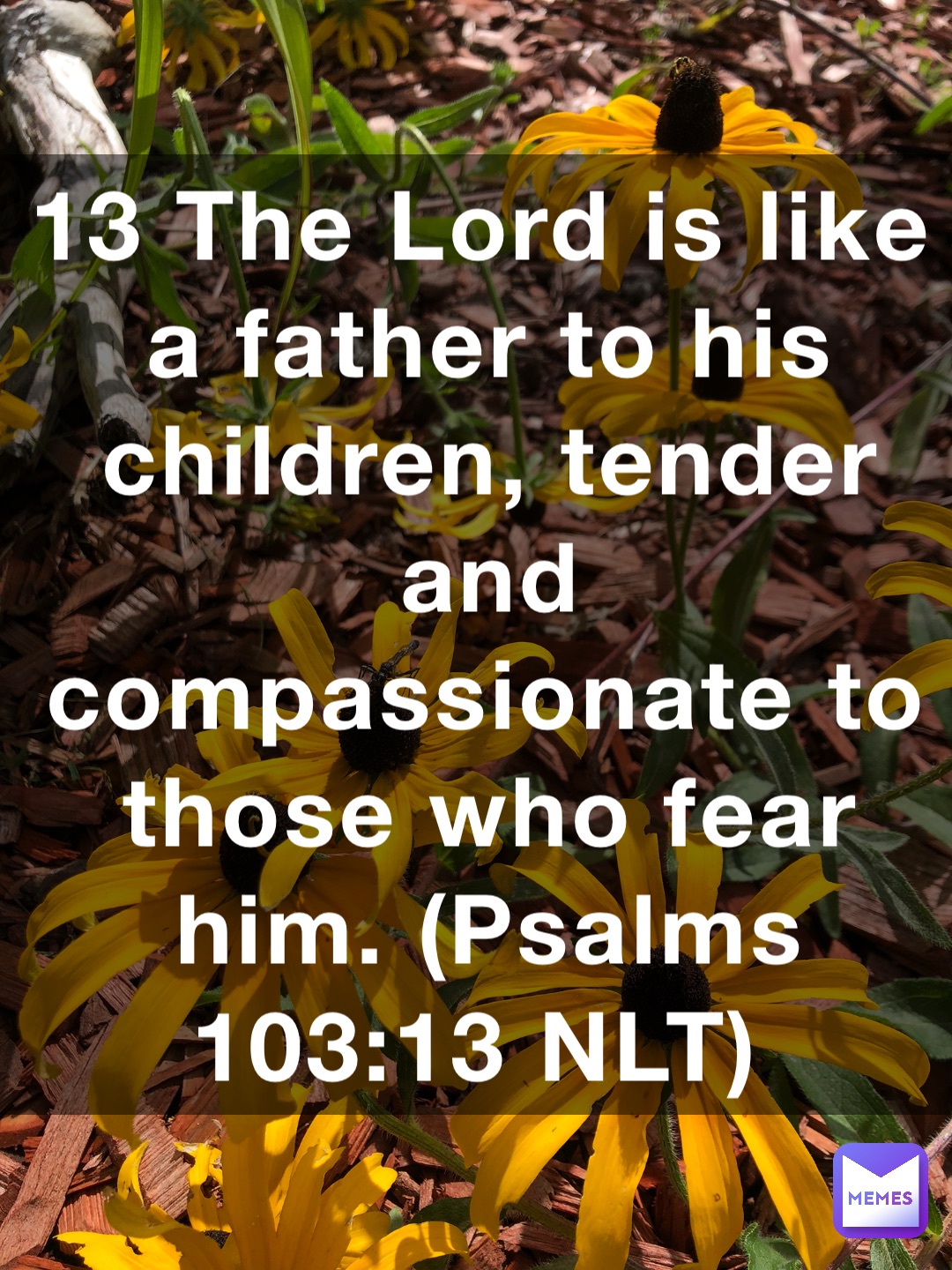 13 The Lord is like a father to his children, tender and compassionate to those who fear him. (‭‭‭Psalms‬ ‭103‬‬:‭13‬ ‭NLT‬‬)