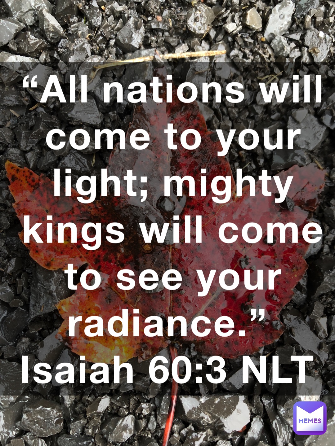 “All nations will come to your light; mighty kings will come to see your radiance.”
‭‭Isaiah‬ ‭60‬:‭3‬ ‭NLT‬‬