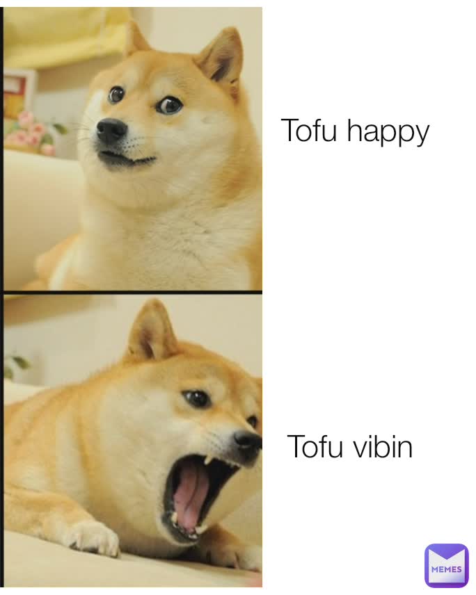 Tofu happy
 Tofu vibin