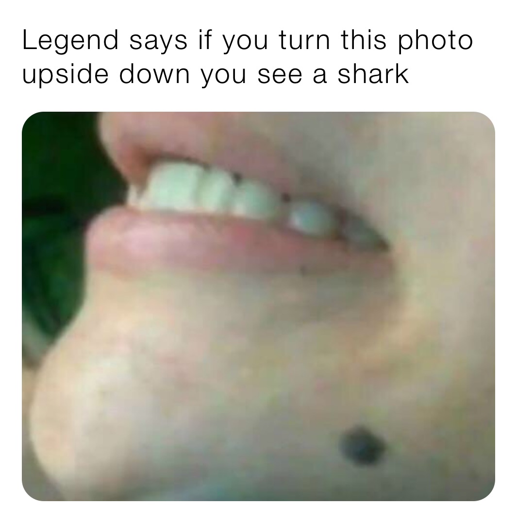 Legend says if you turn this photo upside down you see a shark