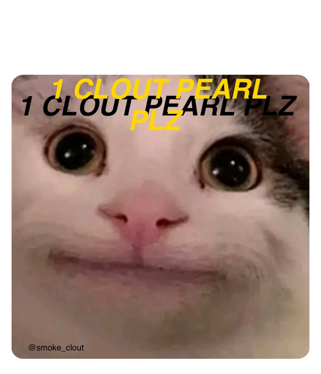 1 CLOUT PEARL PLZ 1 CLOUT PEARL PLZ @smoke_clout