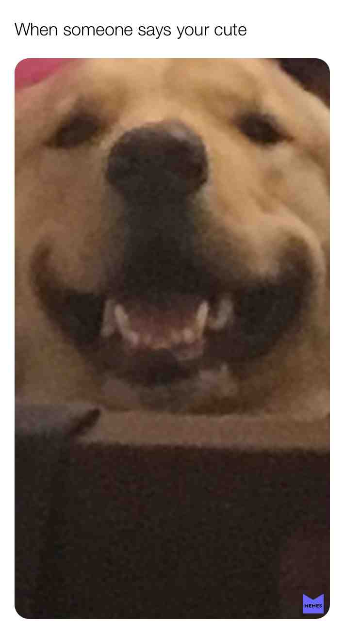 Meme preview