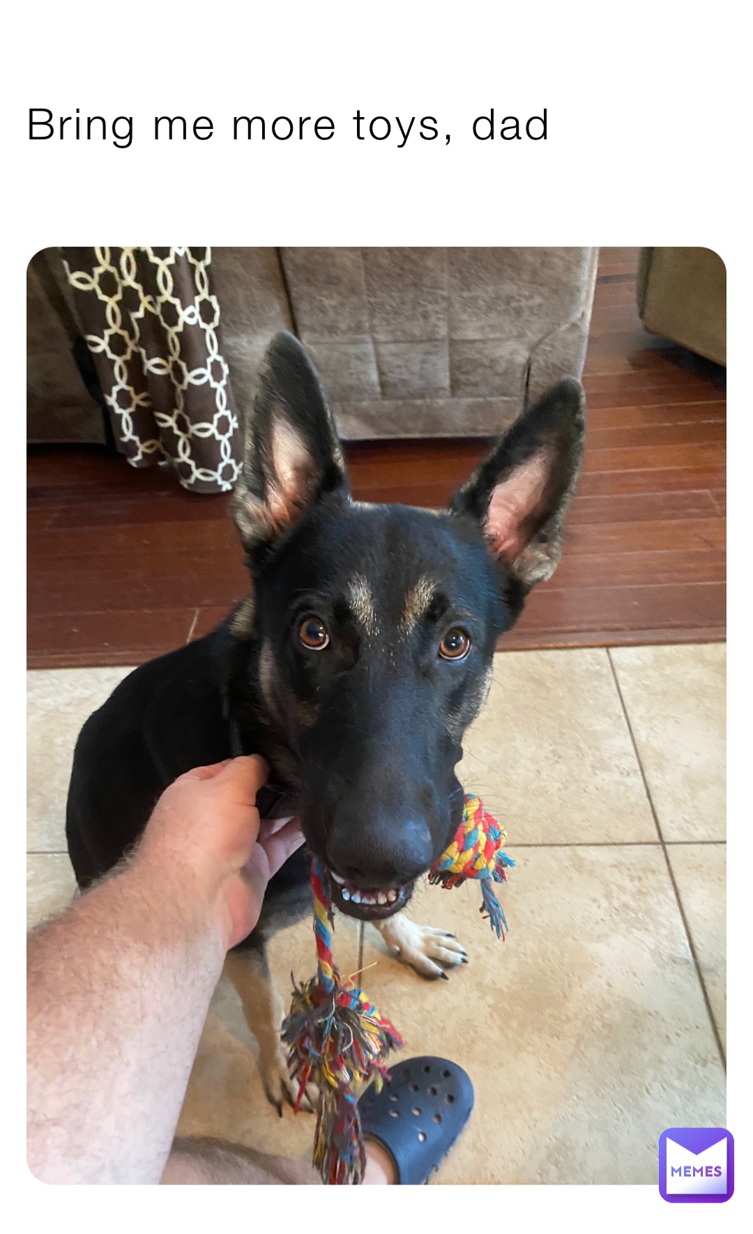 Meme by american_patriot