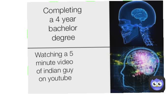 Completing a 4 year bachelor degree Watching a 5 minute video of indian guy on youtube