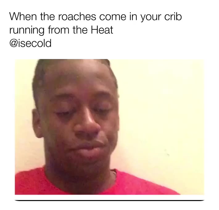 Roaches
