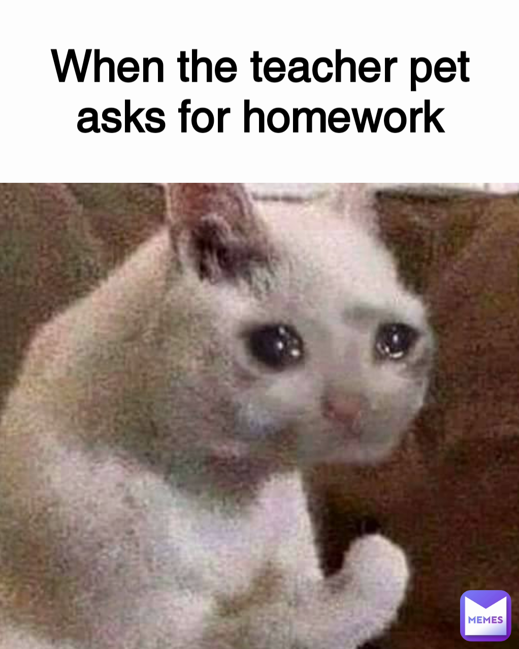 When the teacher pet asks for homework