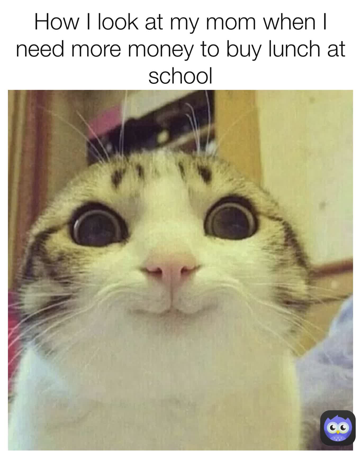 How I look at my mom when I need more money to buy lunch at school