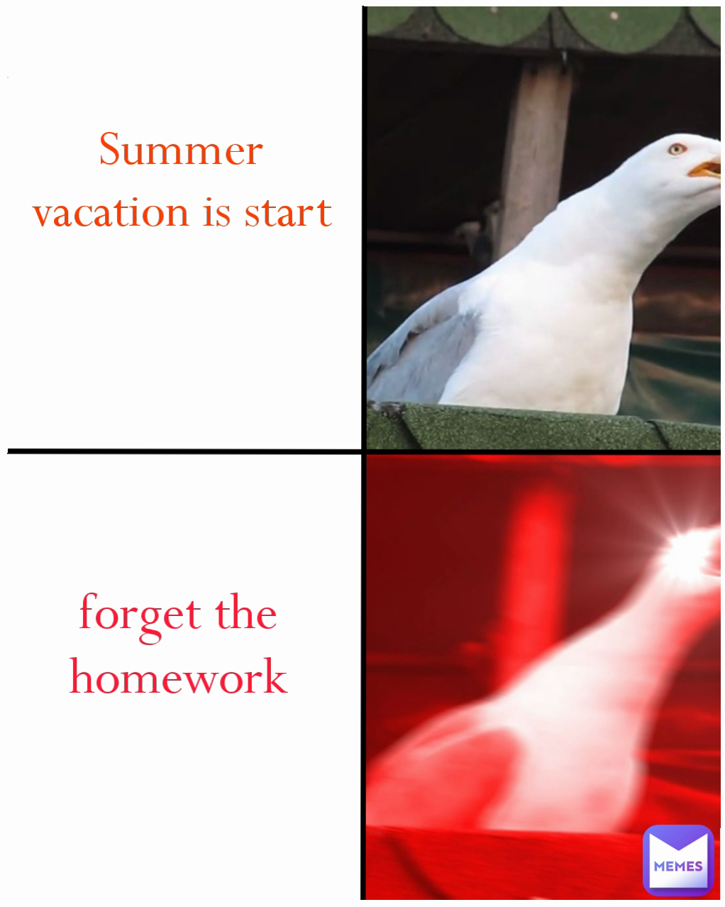 Summer vacation is start forget the homework
