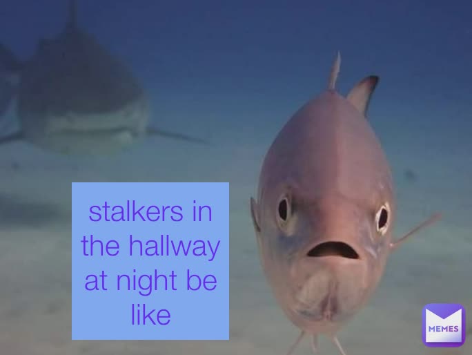 stalkers in the hallway at night be like