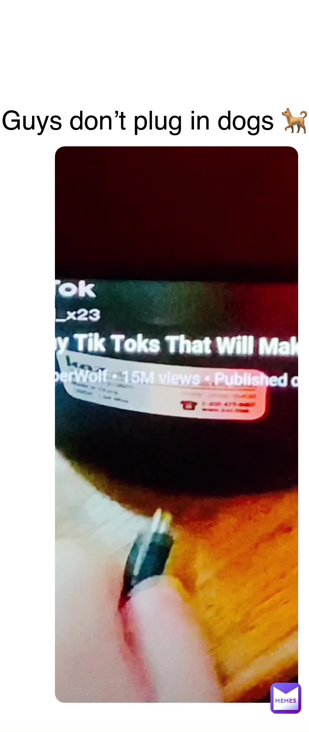 Double tap to edit Guys don’t plug in dogs 🐕 DRY_TURD Memes