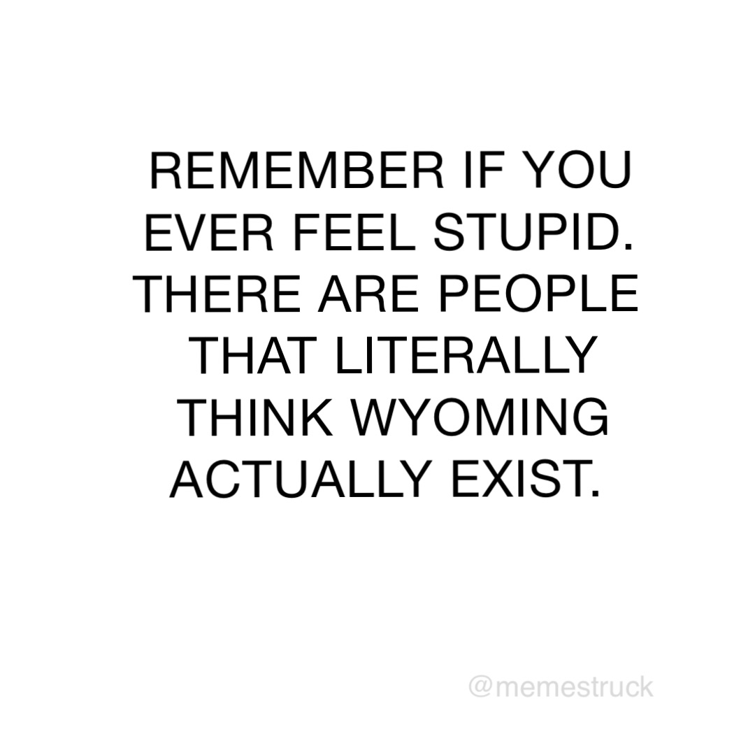 REMEMBER IF YOU EVER FEEL STUPID. THERE ARE PEOPLE THAT LITERALLY THINK WYOMING ACTUALLY EXIST.