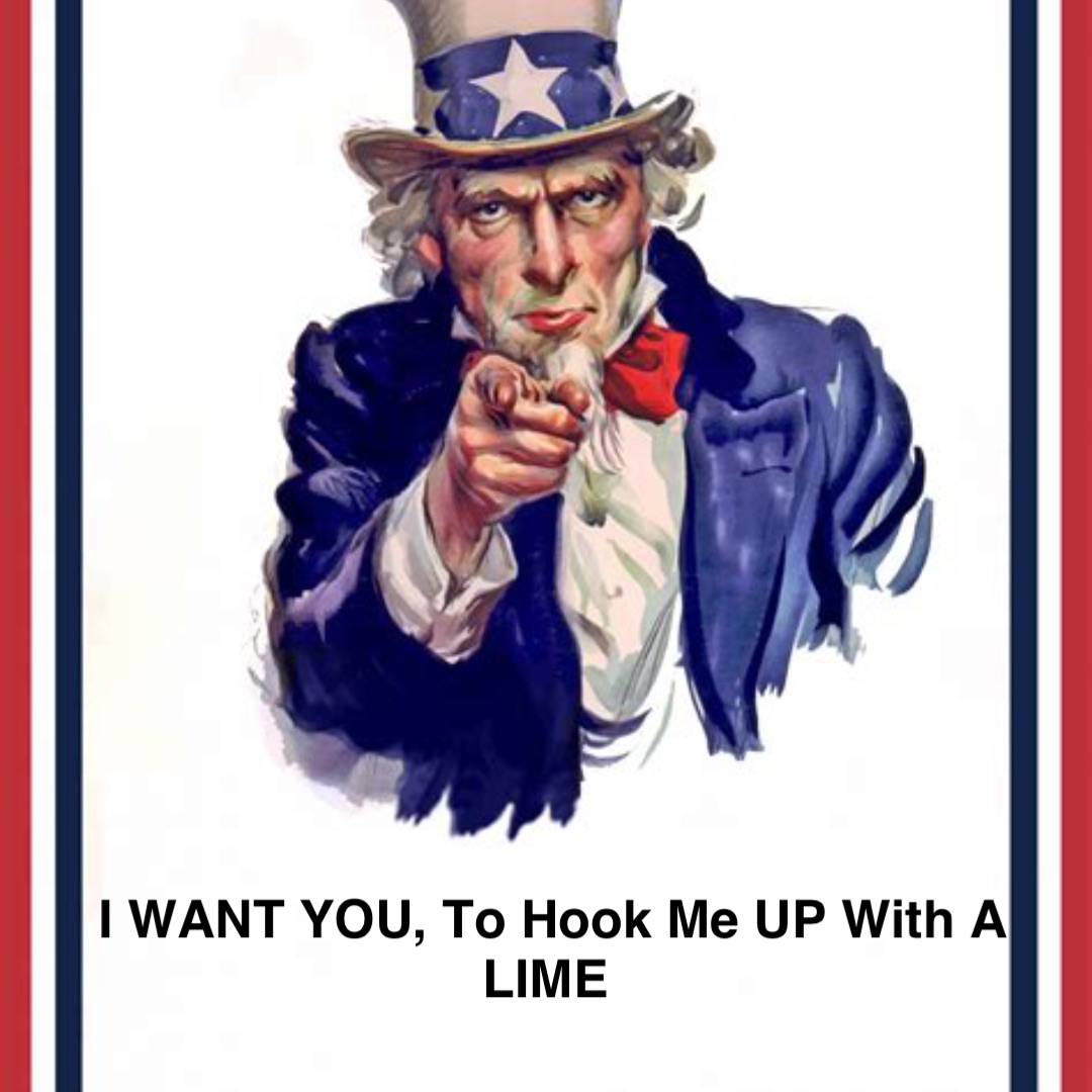 I WANT YOU, To Hook Me UP With A LIME