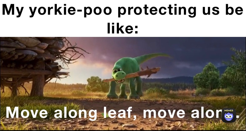 My yorkie-poo protecting us be like: Move along leaf, move along.