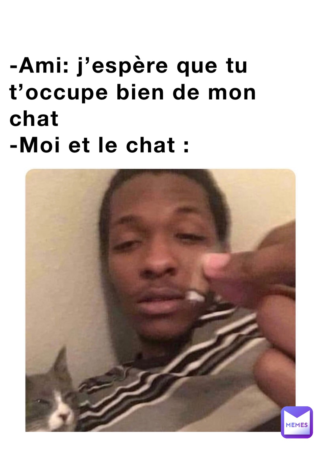 -Ami: j’espère que tu t’occupe bien de mon chat
-Moi et le chat :