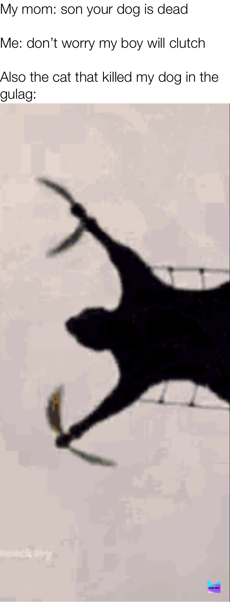 Meme by im_not_blind