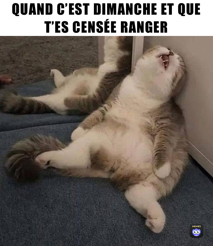 QUAND C’EST DIMANCHE ET QUE T’ES CENSÉE RANGER 