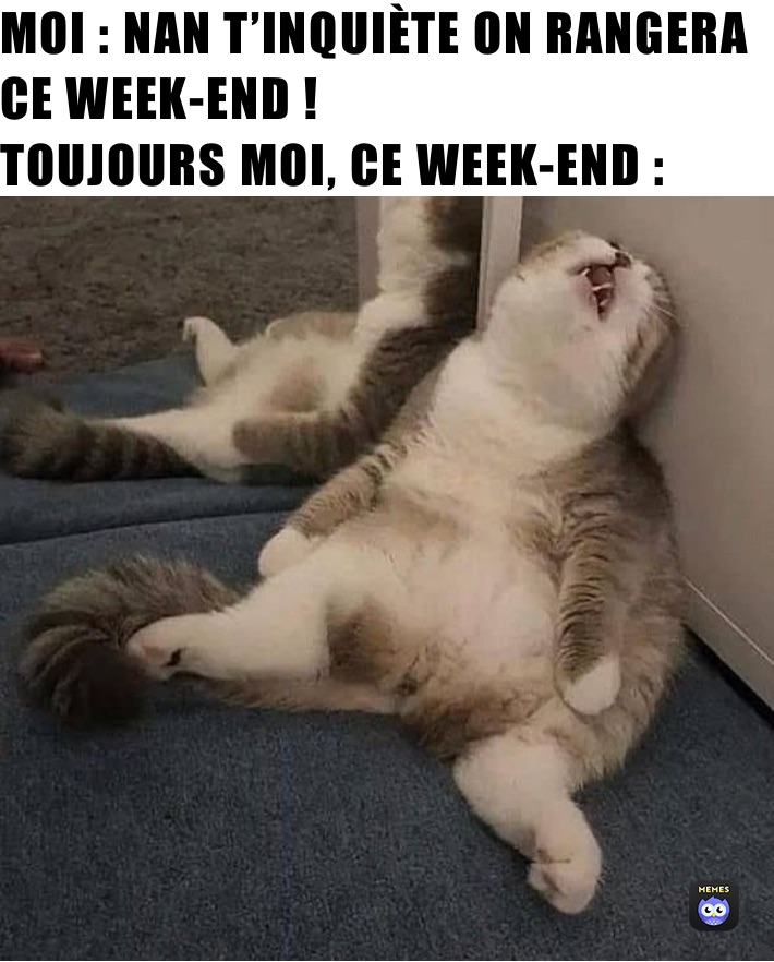 MOI : NAN T’INQUIÈTE ON RANGERA CE WEEK-END !
TOUJOURS MOI, CE WEEK-END :