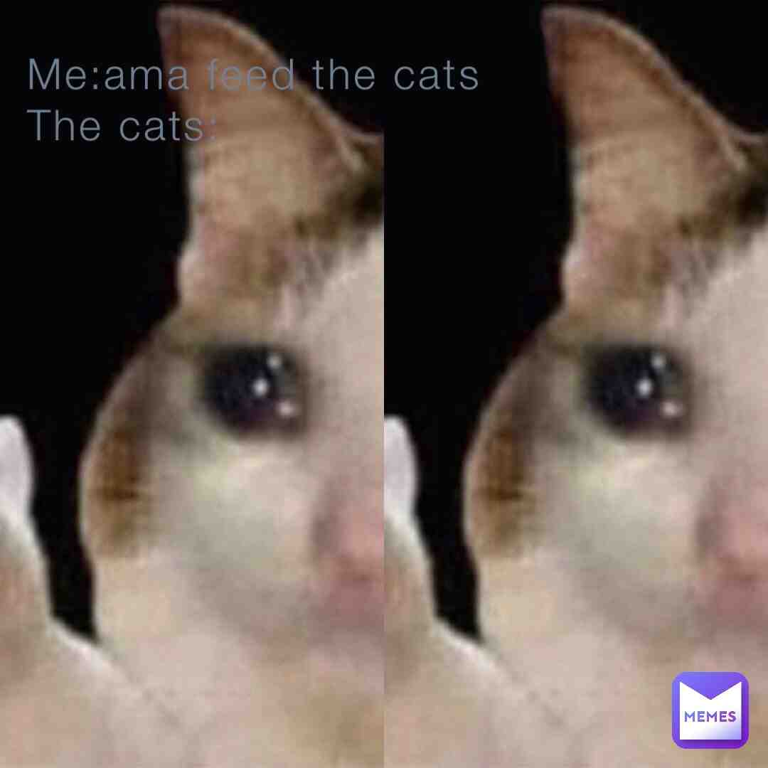 Meme shared by @your_dad_is_coma