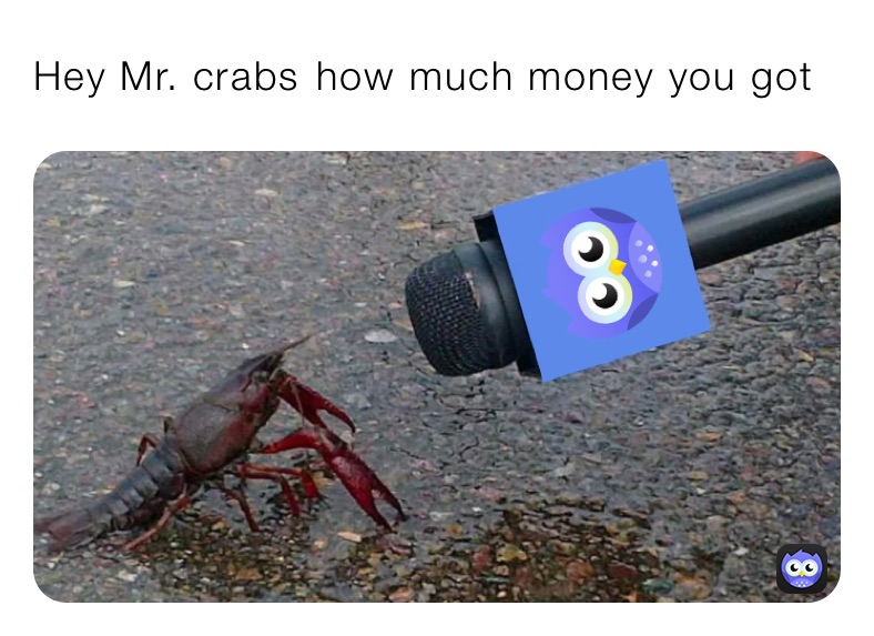 Hey Mr. crabs￼ how much money you got