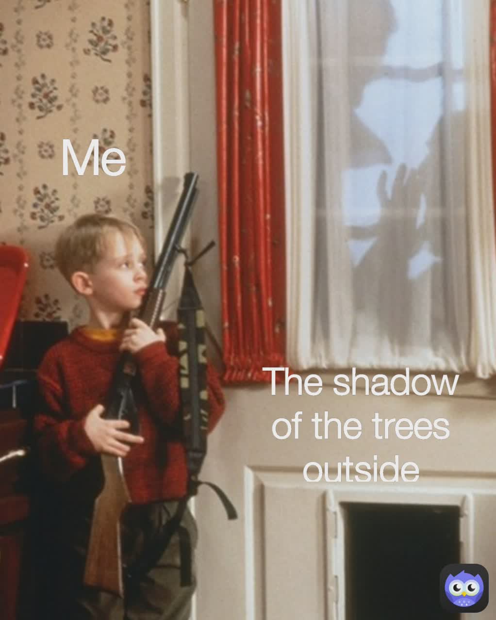 The shadow of the trees outside Me