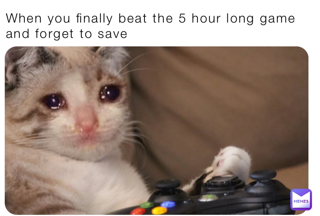 When you finally beat the 5 hour long game and forget to save