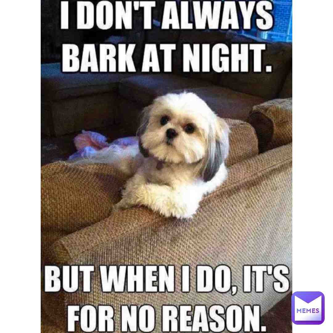 #doggo 3am: WOOF WOOF WOOF 🐶