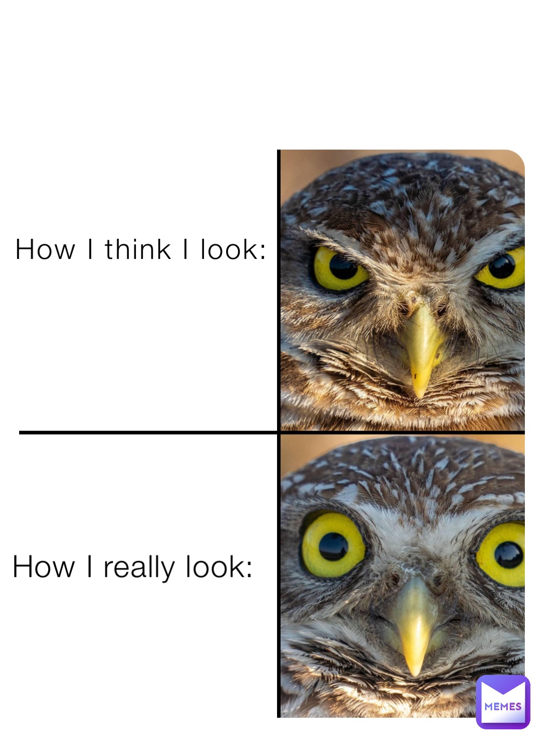 How I think I look: How I really look: