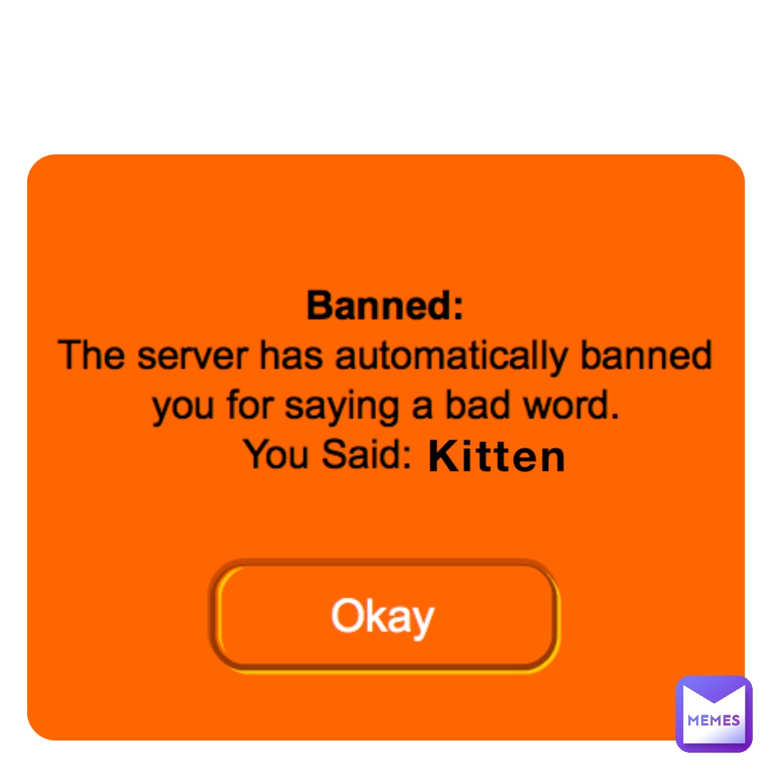 Kitten