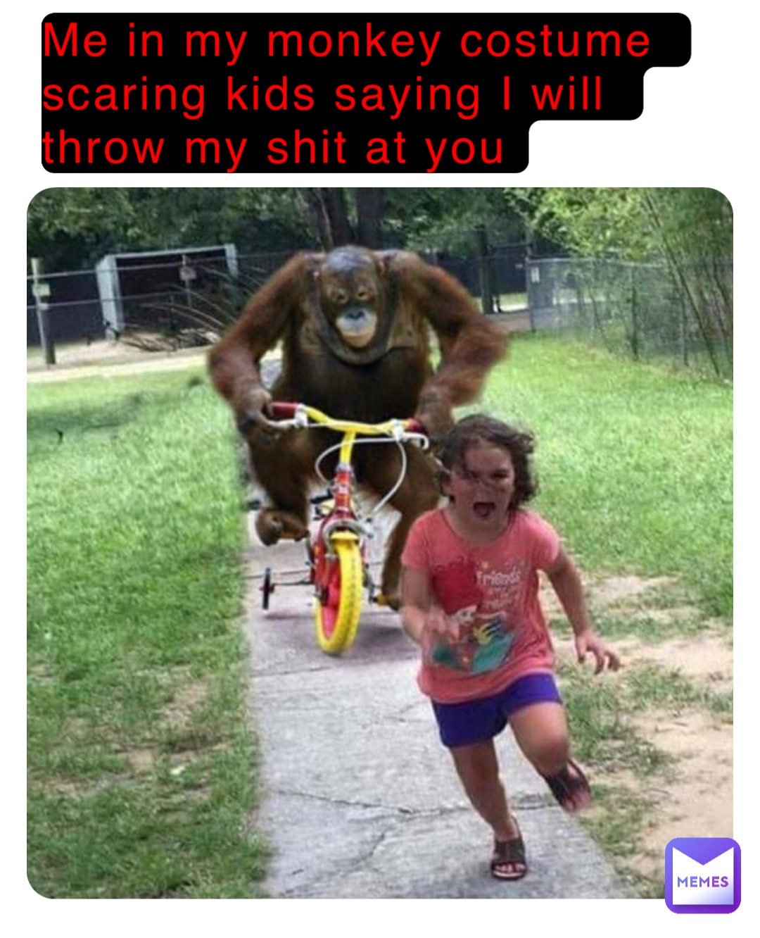 Me in my monkey costume scaring kids saying I will throw my shit at you