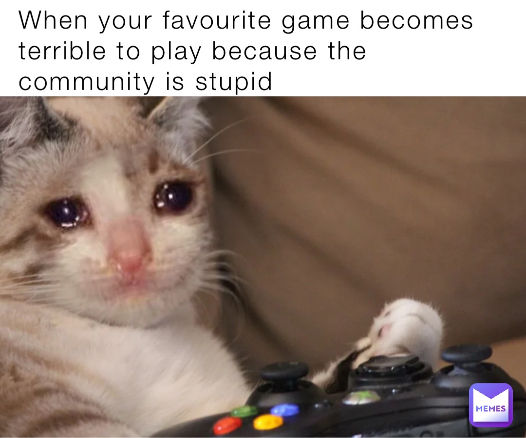 When your favourite game becomes terrible to play because the community is stupid