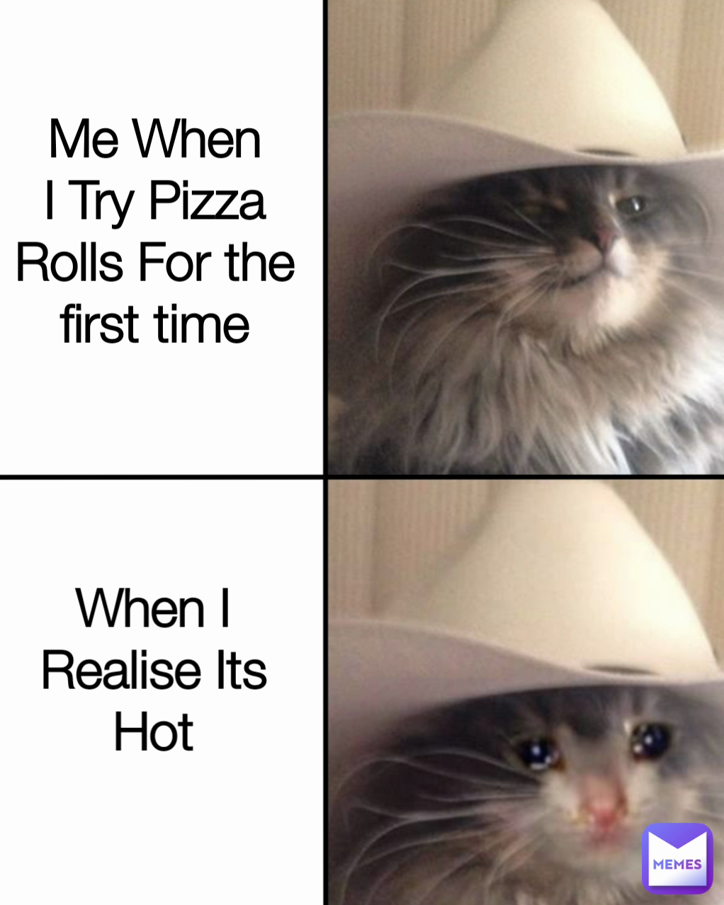 Meme by ArshTheMemer