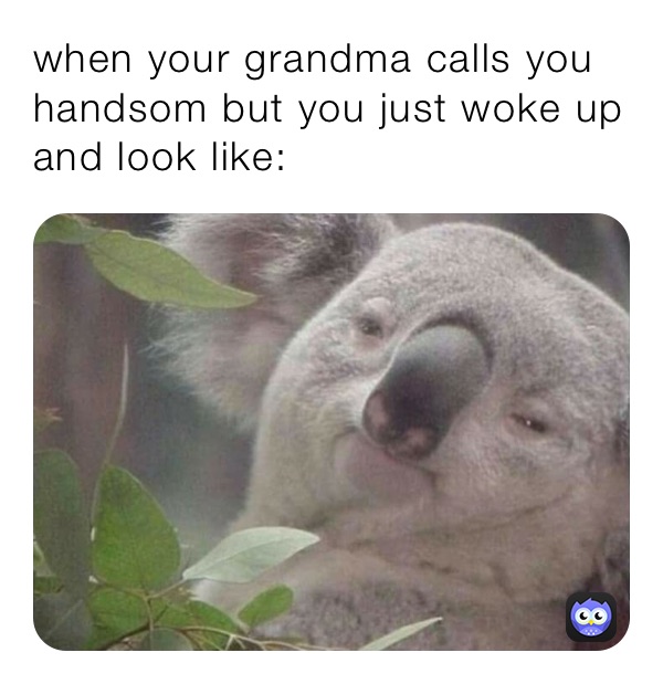 when your grandma calls you handsom but you just woke up and look like: