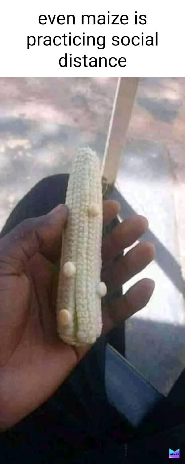 Meme by self_motivated