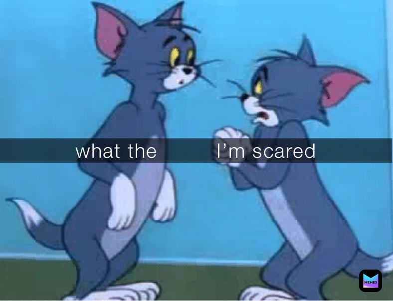 what the         I’m scared 