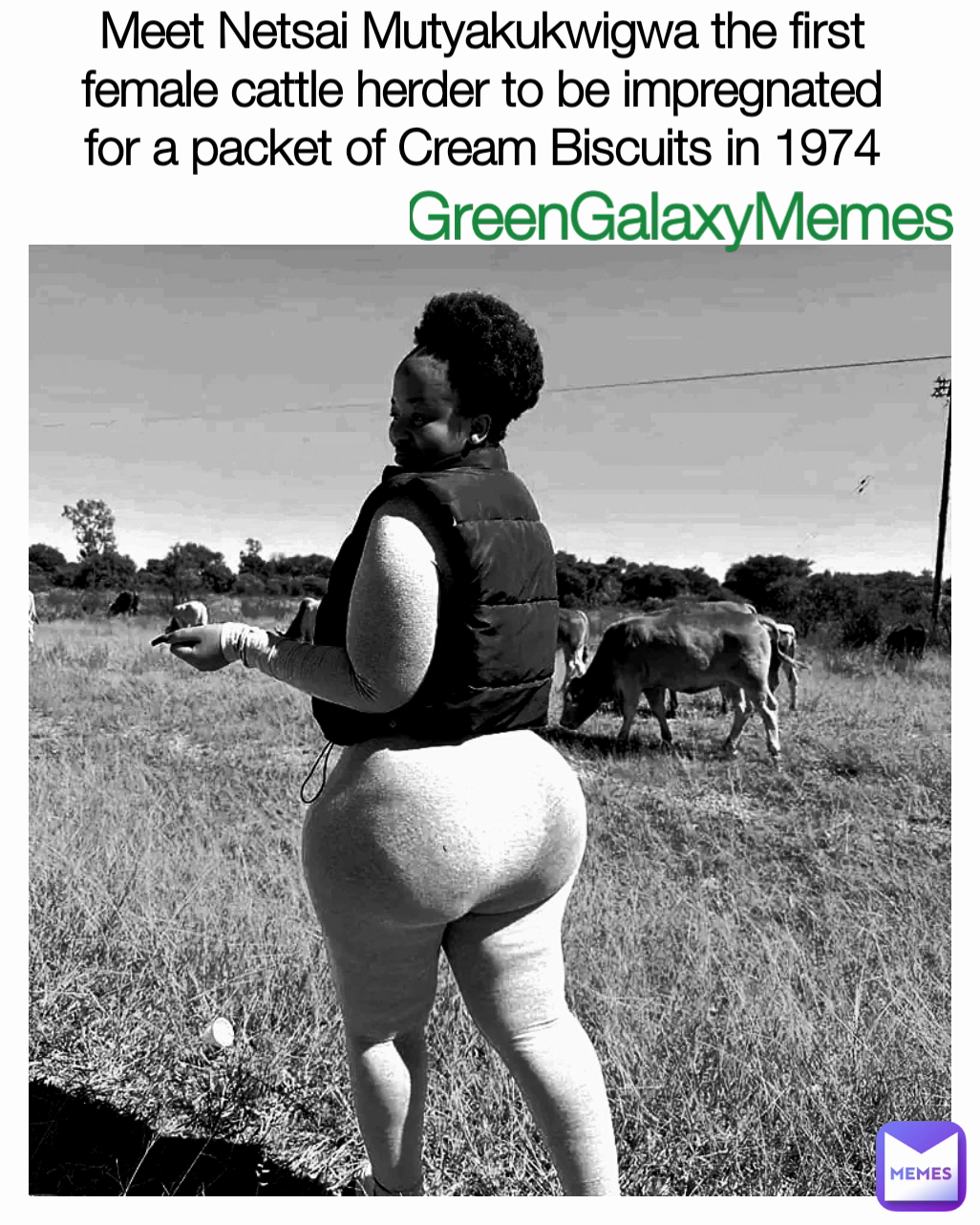 Meme by GreenGalaxyMemes