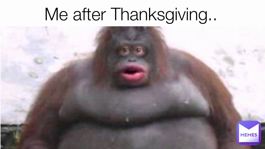 Me After Thanksgiving.. 