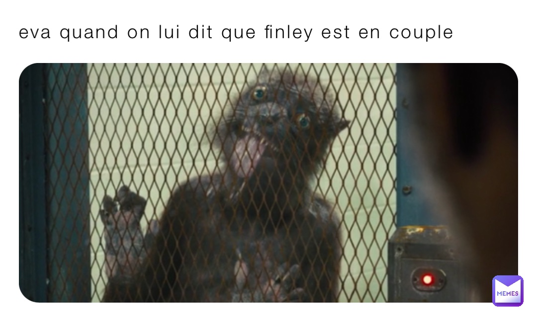 eva quand on lui dit que finley est en couple