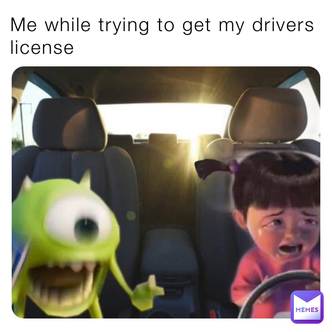 got my license memes